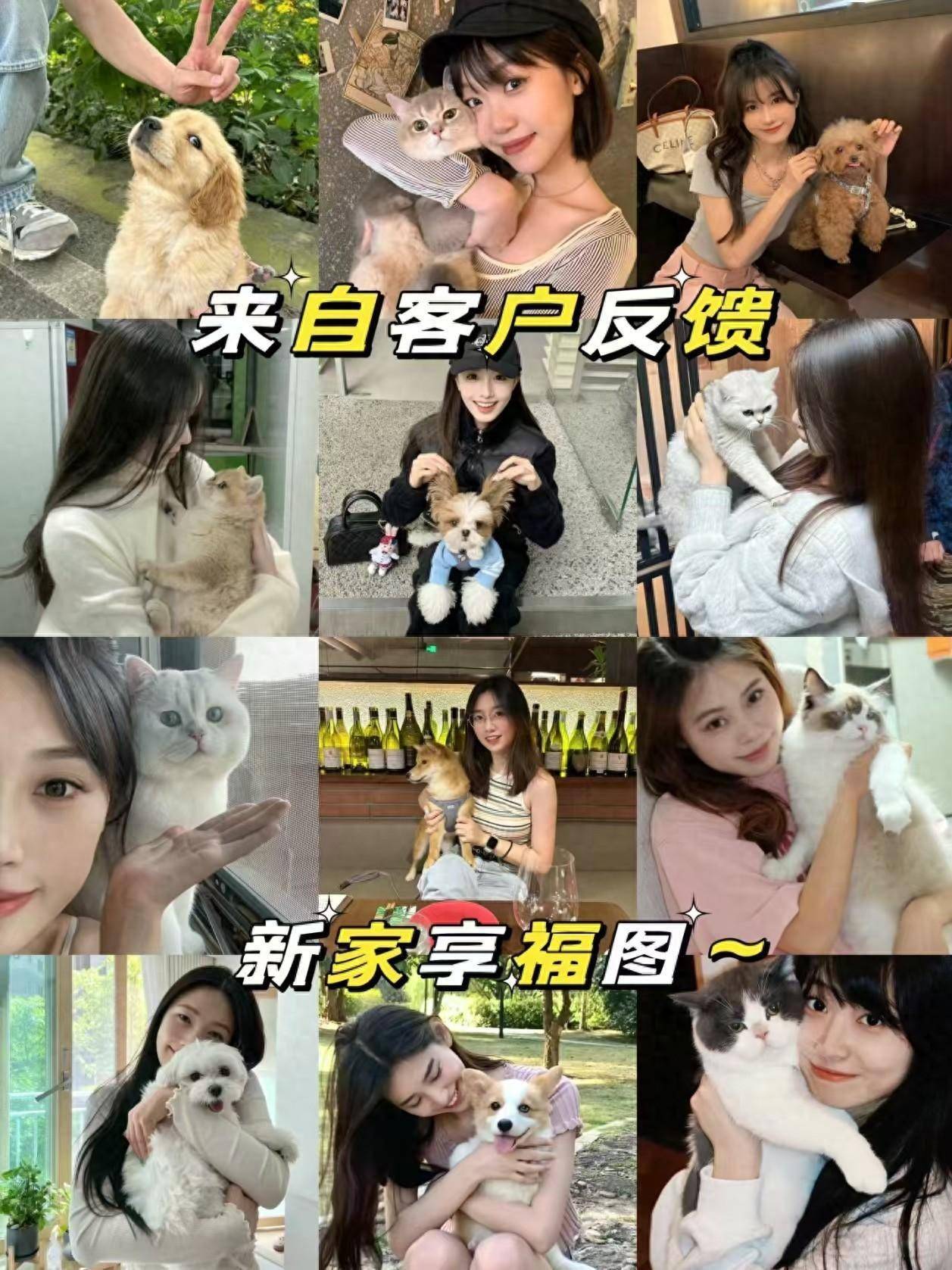 常州去哪里买猫买狗狗，哪里有宠物卖
