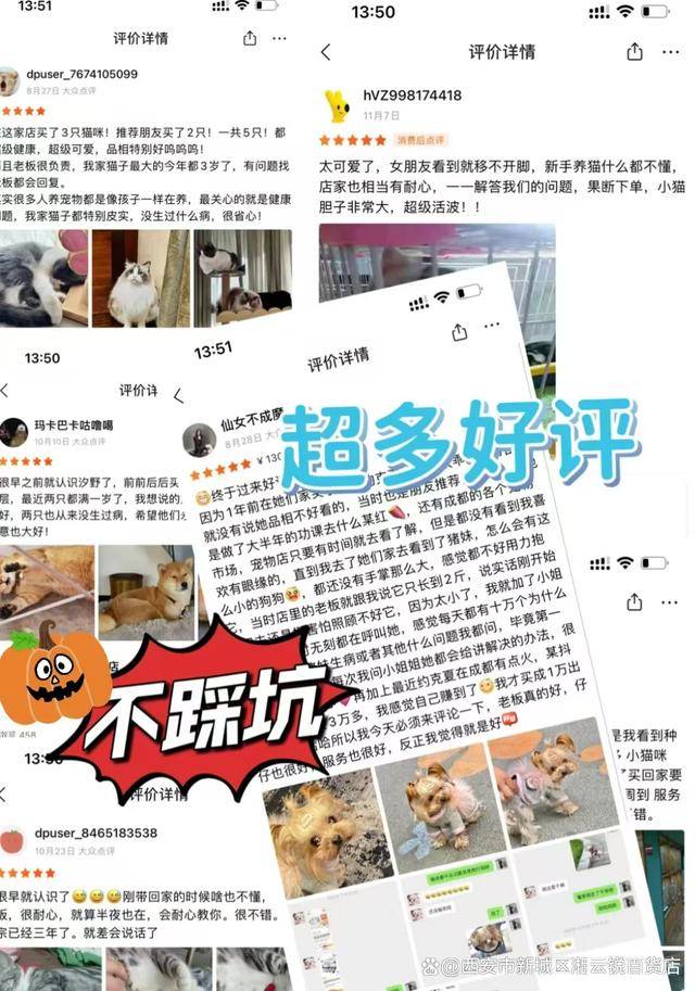 广州买宠物去哪里 广州卖宠物在哪里