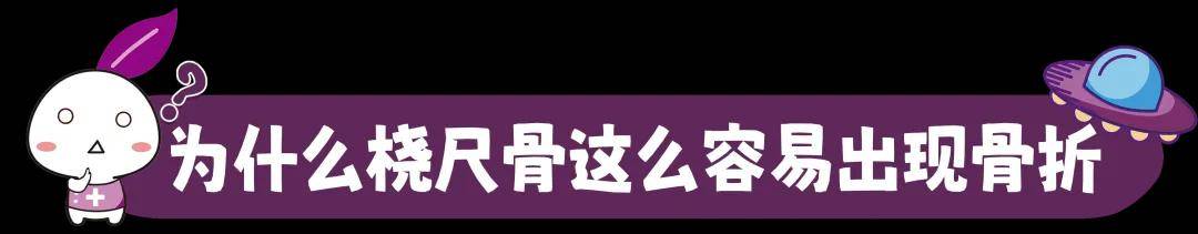 狗狗的桡尺骨在哪里？为什么这么容易骨折？