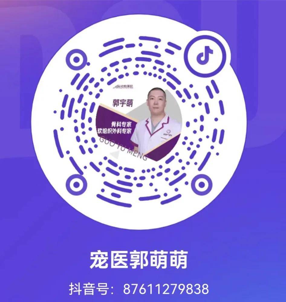 狗狗的桡尺骨在哪里？为什么这么容易骨折？