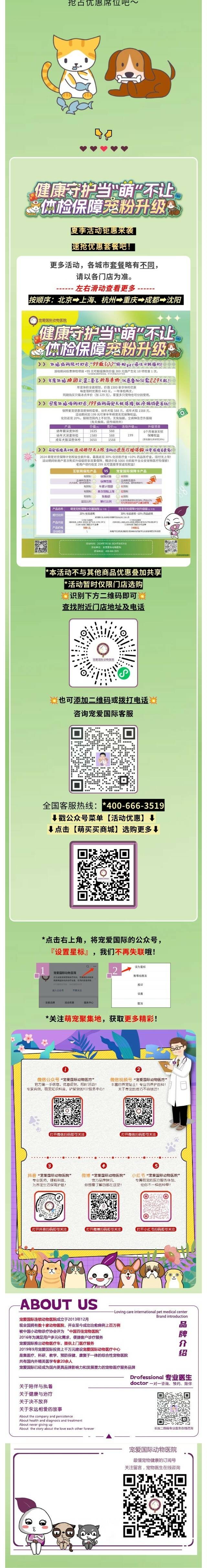 狗狗的桡尺骨在哪里？为什么这么容易骨折？