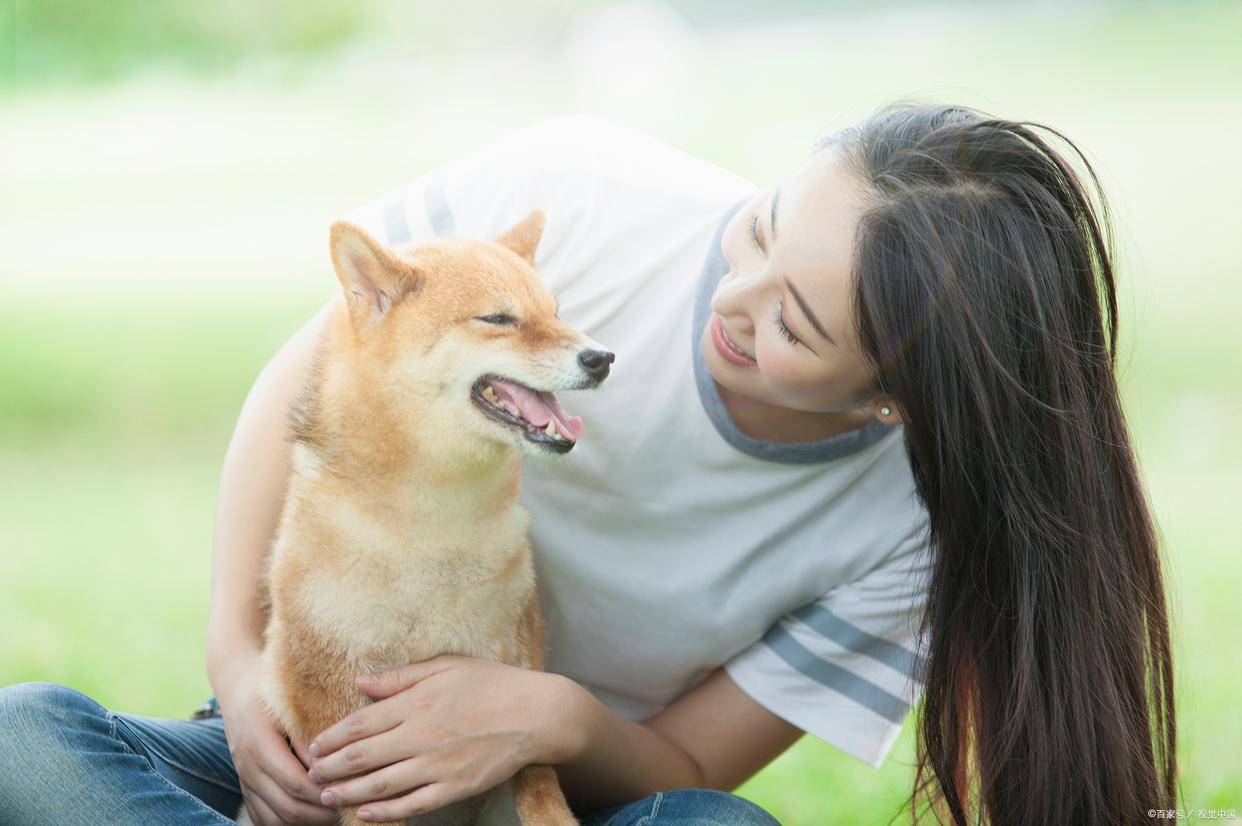 越是缺爱的狗狗，会有这5个特征，你家狗狗中招了吗？